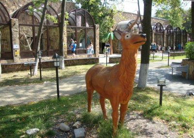 Зоопарк "Лимпопо", Нижний Новгород: цены, фото, адрес, лучшие советы перед посещением