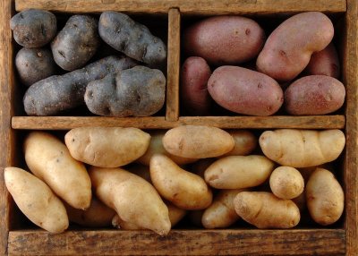 Как правильно хранить картошку в квартире