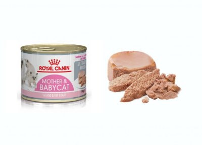 Какой Royal Canin нужен вашей кошке? Помощь в подборе корма для котят и взрослых кошек