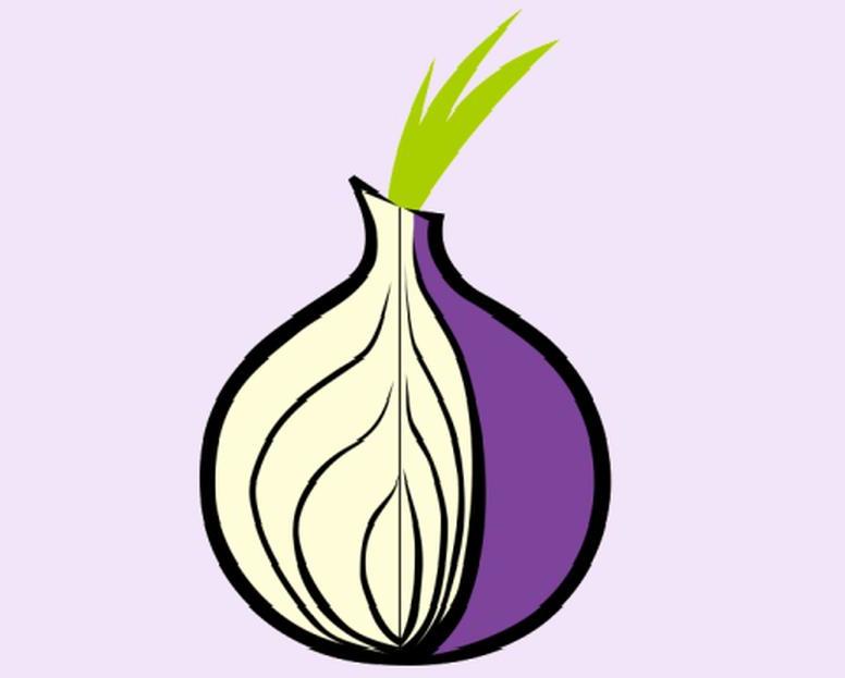 Tor browser значок hydra контроль за оборотом наркотиков в челябинской