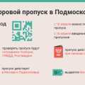 90% заявок на пропуска по СМС в Москве оказались оформлены неверно